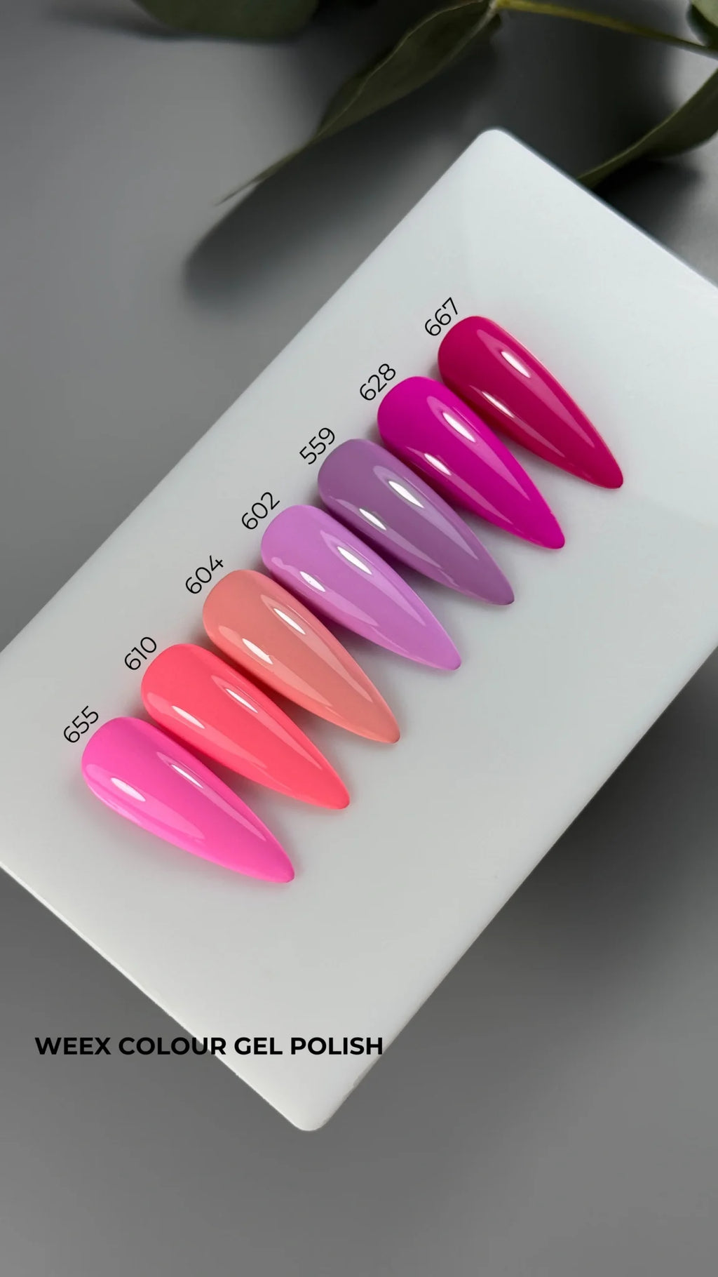 Weex Gel Polish 667