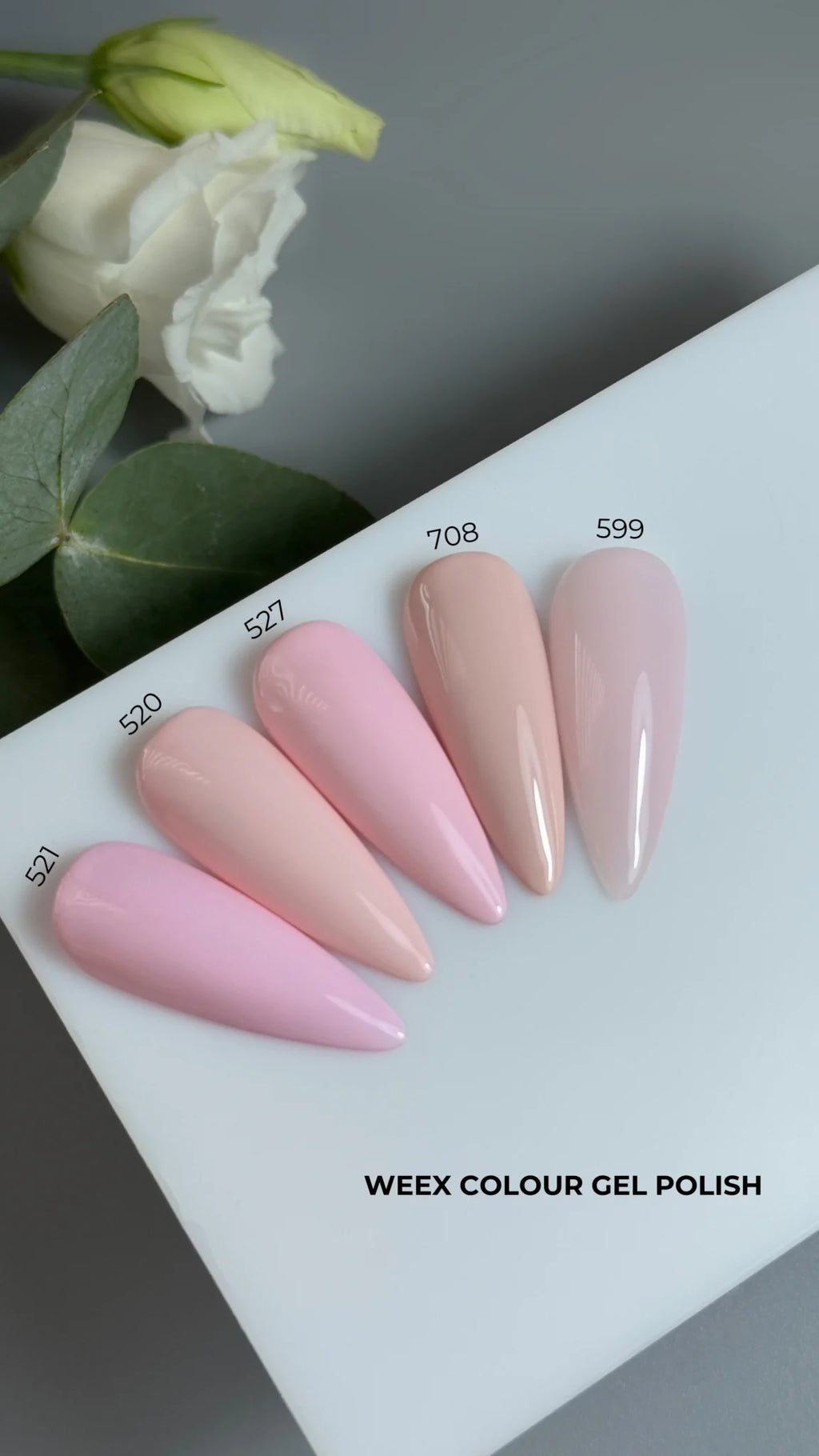 Weex Gel Polish 527