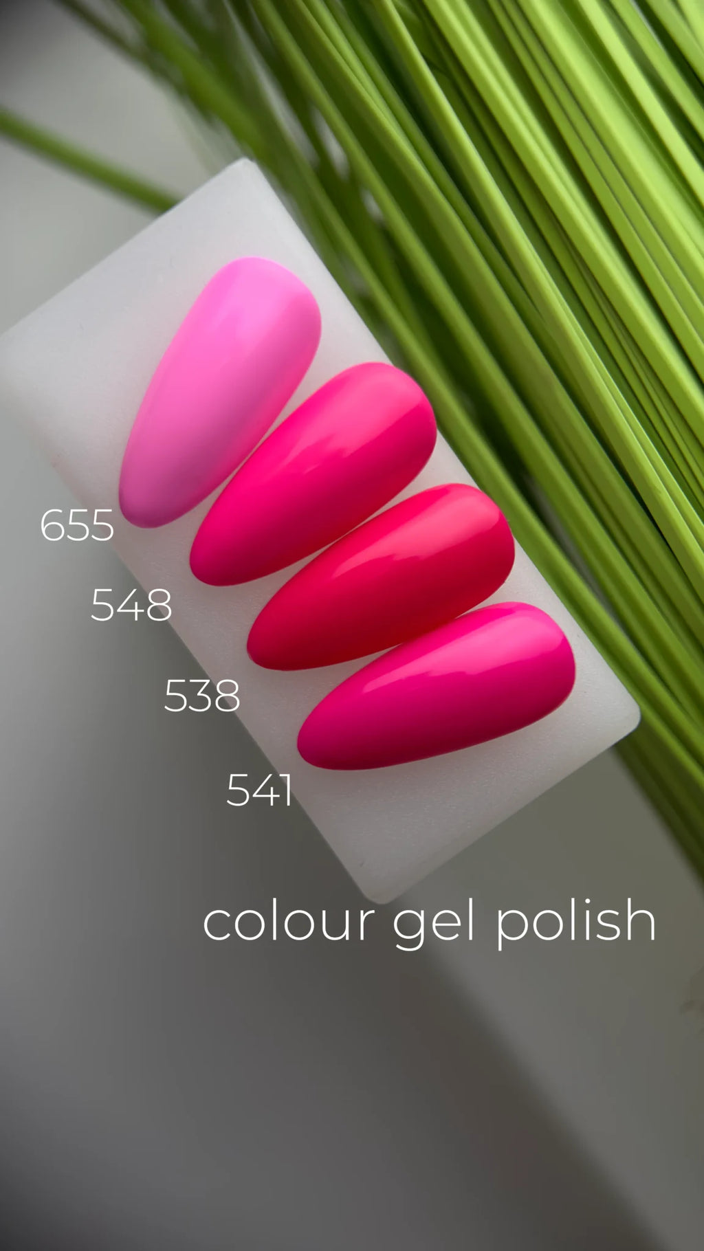 Weex Gel Polish 538