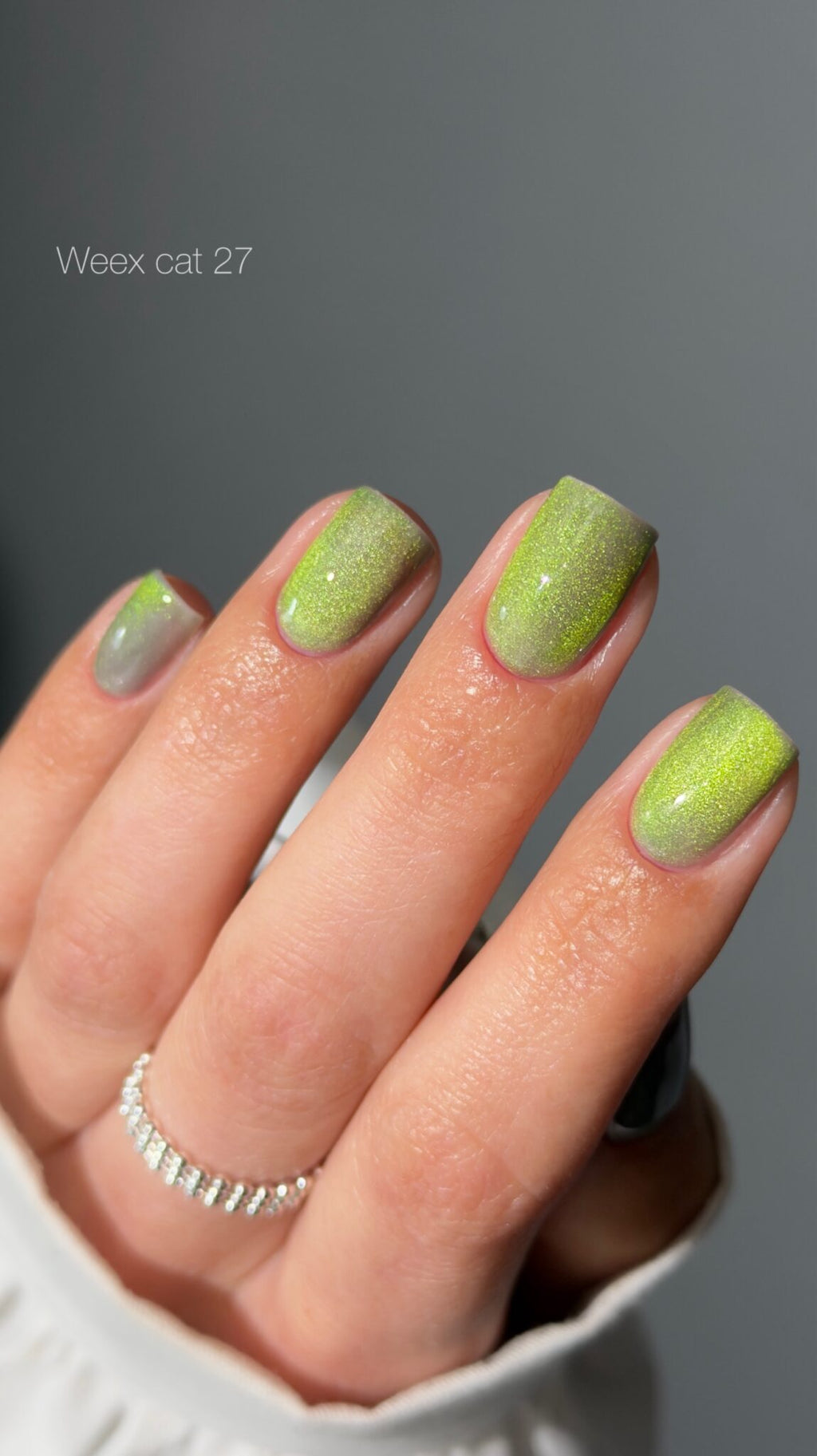 Weex Gel Polish Cat 27