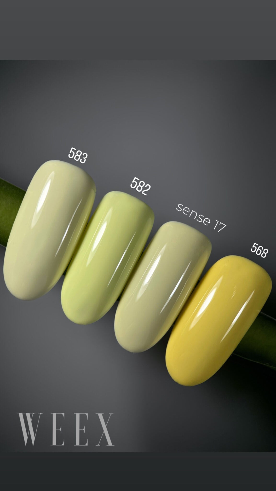 Weex Gel Polish 582