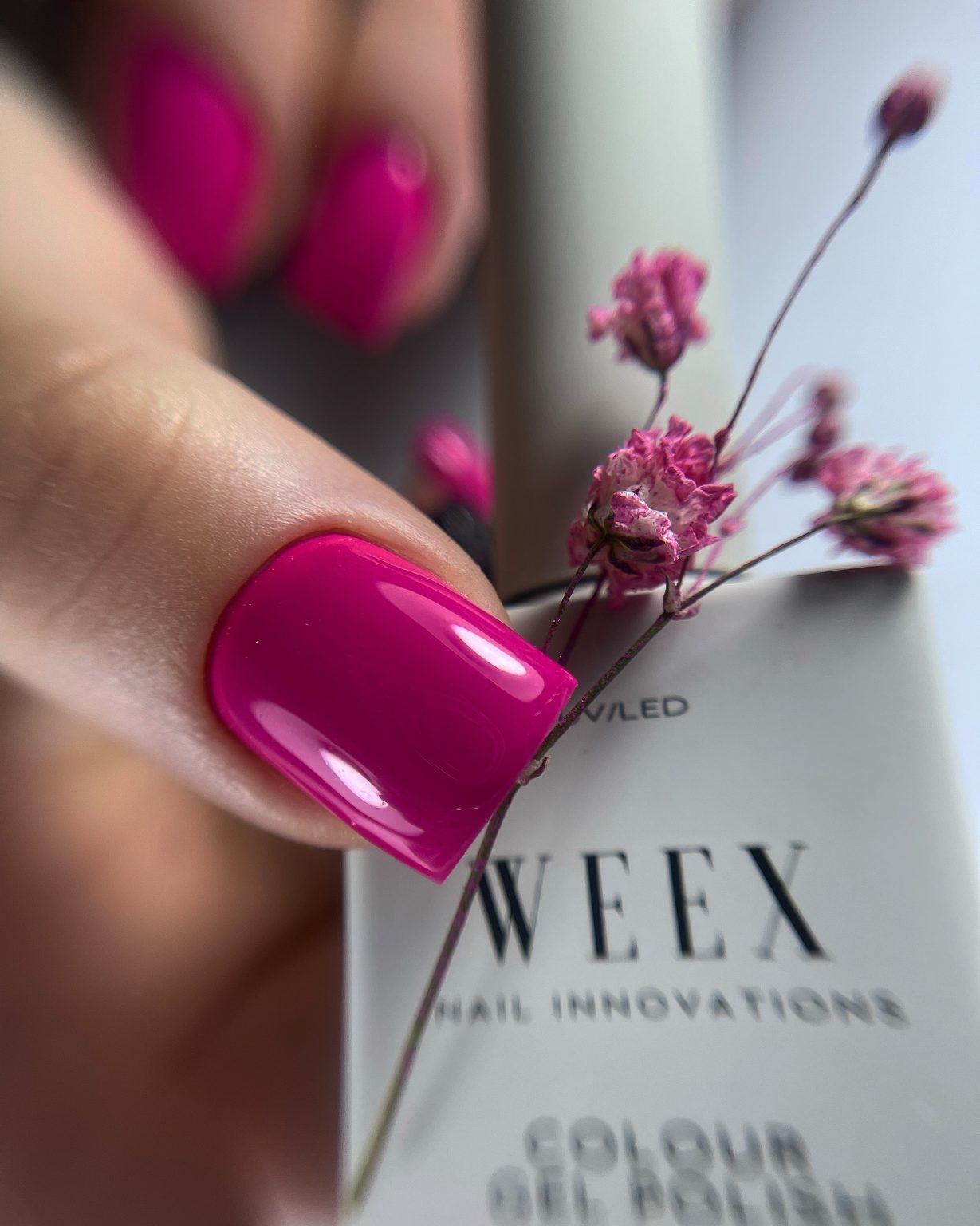 Weex Gel Polish 667